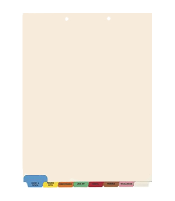 Chart Tab Dividers - 8 Tab Set