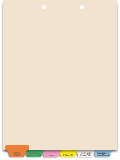 Medical Chart Dividers - 6 Tab Set