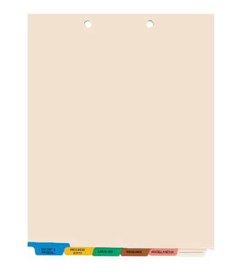 Chart Tab Dividers - 6 Tab Set